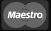 Logo MAestro